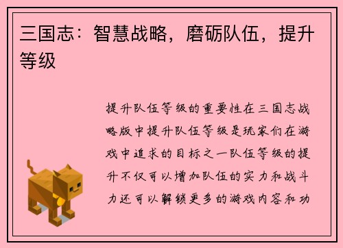 三国志：智慧战略，磨砺队伍，提升等级